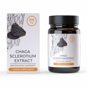 Endoca Εκχύλισμα Μανιταριού Chaga 370mg 30caps