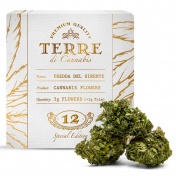 Terre di Cannabis Fredda del Sirente 12% CBD Ανθοί Κάνναβης 3gr