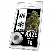 Plant of Life Amnesia Haze 22% CBD Jelly 1gr