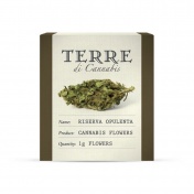 Terre di Cannabis Riserva Opulenta 12% CBD Ανθοί Κάνναβης 1gr