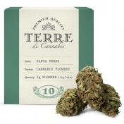 Terre di Cannabis Santa Verde 10% CBD Ανθοί Κάνναβης 3gr