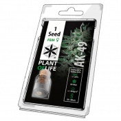 Plant of Life AK-49 Feminized - 1 Σπόρος