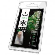 Plant of Life Super Skunk Feminized - 1 Σπόρος