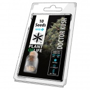 Plant of Life Doctor Kush HighCBD Medical Feminized - 1 Σπόρος