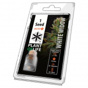 Plant of Life White Widow AutoFem - 1 Σπόρος