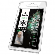 Plant of Life Amnesia OG Feminized - 3 Σπόροι