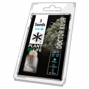 Plant of Life Doctor Kush HighCBD Medical Feminized - 3 Σπόροι