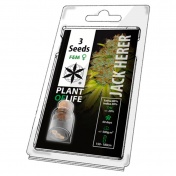 Plant of Life Jack Herer Feminized - 3 Σπόροι