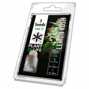 Plant of Life Lemon Kush Feminized - 3 Σπόροι