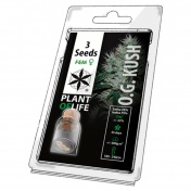 Plant of Life OG Kush Feminized - 3 Σπόροι