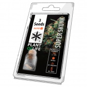 Plant of Life Super Skunk AutoFem - 3 Σπόροι