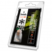 Plant of Life Northern Lights AutoFem - 3 Σπόροι