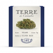 Terre di Cannabis Volare 18% CBD Ανθοί Κάνναβης 2gr