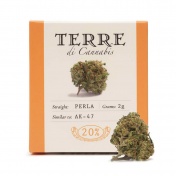 Terre di Cannabis Perla 20% CBD Ανθοί Κάνναβης 2gr