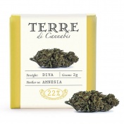 Terre di Cannabis Diva 22% CBD Ανθοί Κάνναβης 2gr