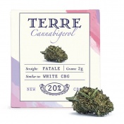 Terre di Cannabis Fatale 20% CBG Ανθοί Κάνναβης 2gr