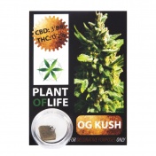 Plant Of Life Critical Mass 3,8% CBD Solid 1gr