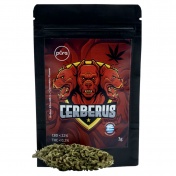 Pure Hemp Ανθός Cerberus CBD < 22% 3gr
